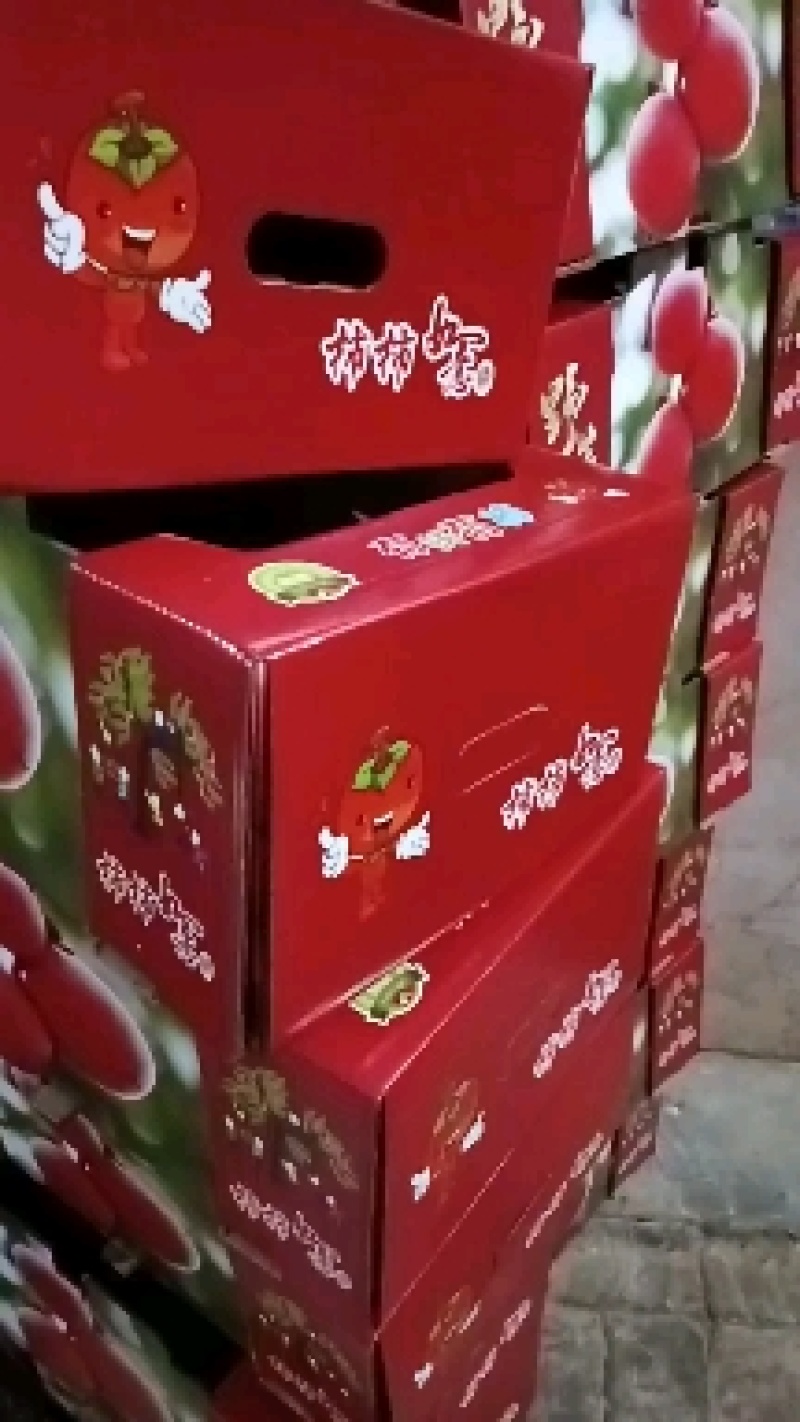 七月黄优质甜柿