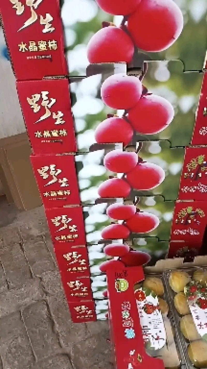 七月黄优质甜柿