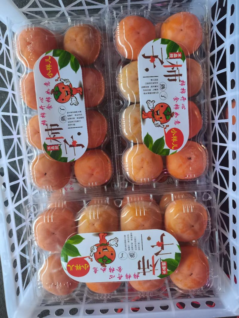 七月黄优质甜柿