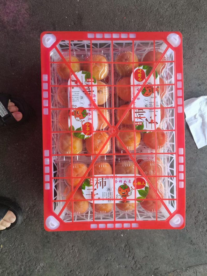 七月黄优质甜柿