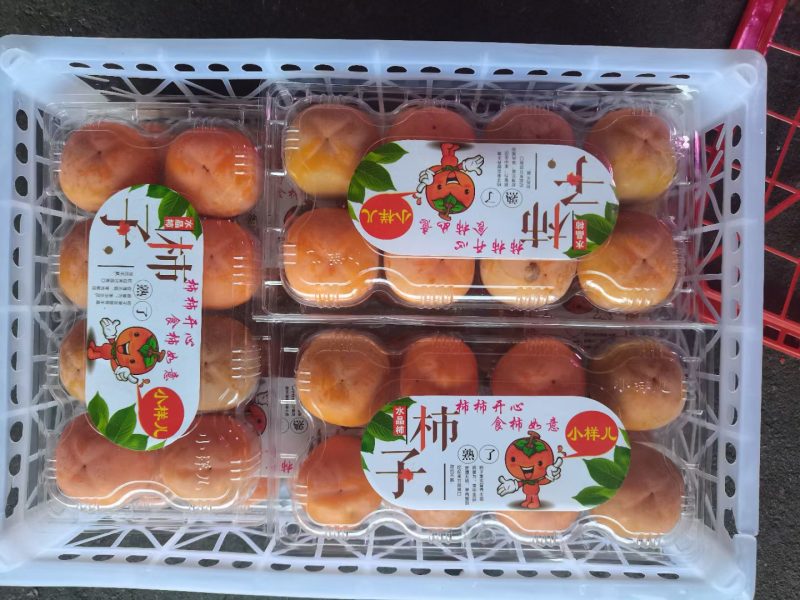 七月黄优质甜柿