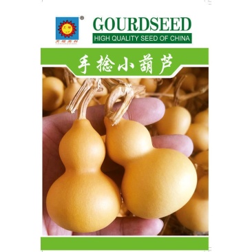 盆栽手捻葫芦种子小葫芦种籽四季种观赏阳台庭院爬藤葫芦苗秧