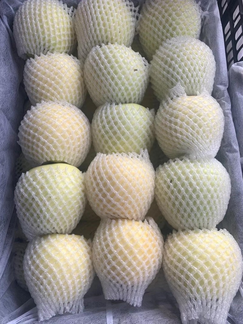 美八