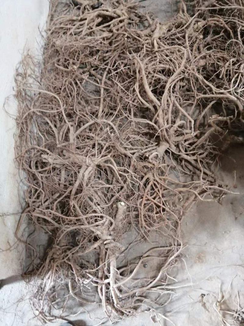 山豆根