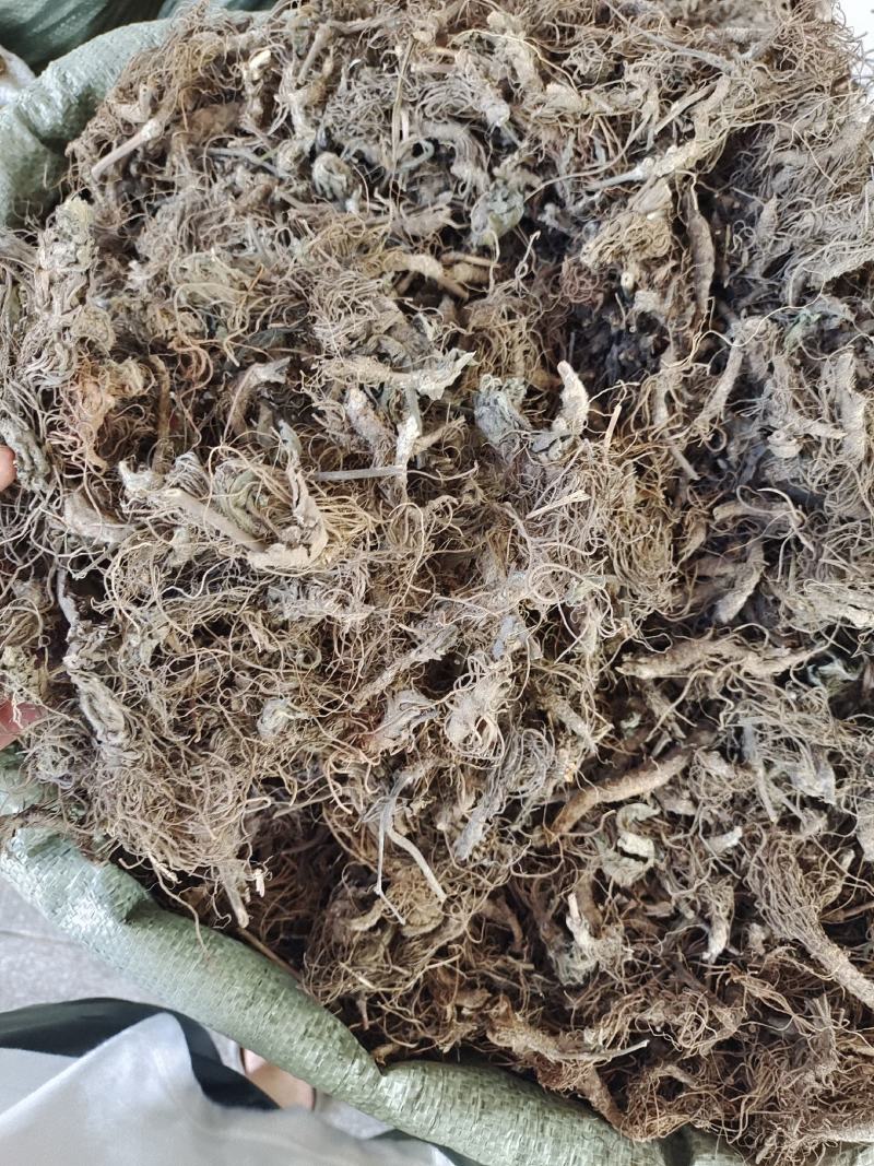 地胆草根，地胆头，新货中药材地胆头，产地一手货源，
