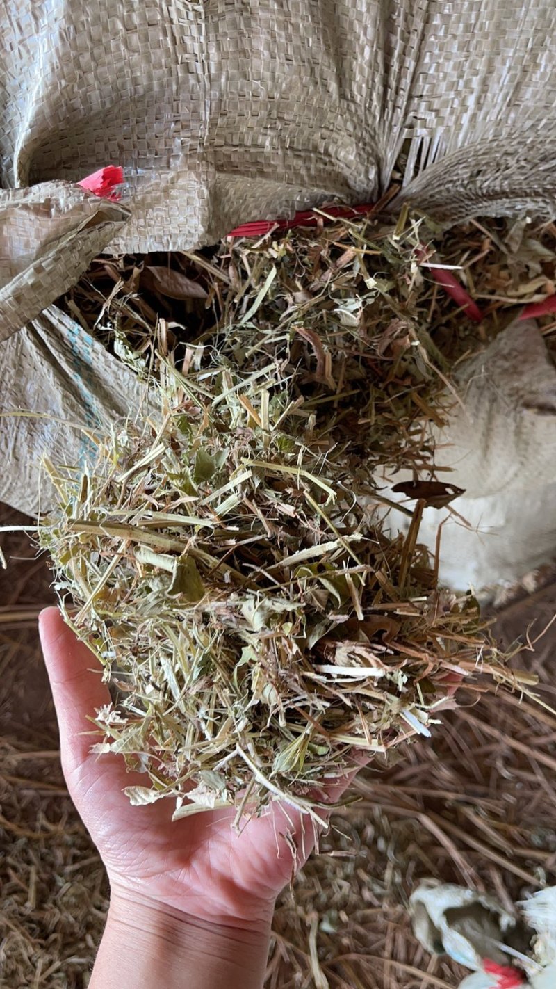花生秧