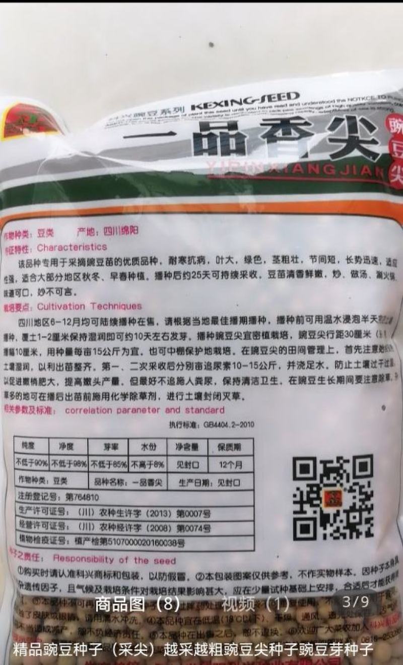 豌豆种子四季盆栽露天豌豆苗豆子多次采收叶大肉厚豌