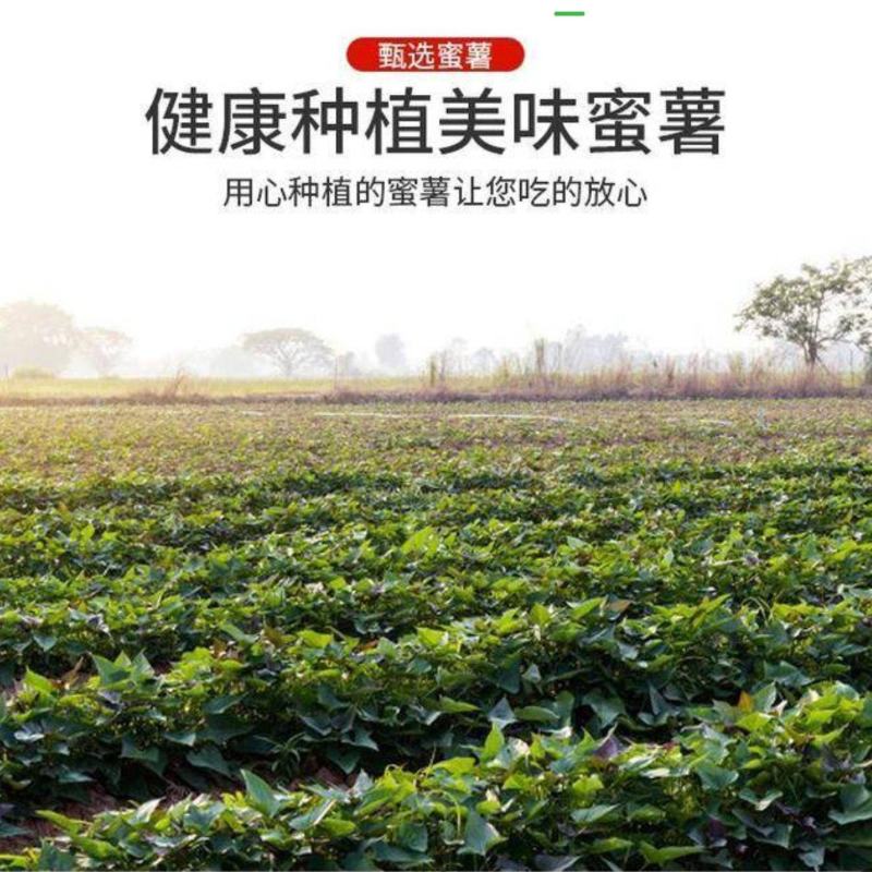 大吨位龙九，便宜卖了。要求你定，质量我把控！