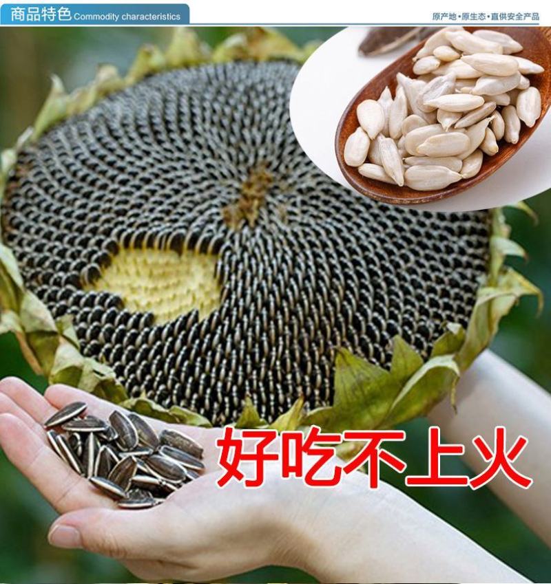 1斤装焦糖味五香味瓜子干炒味葵花籽小袋休闲零食独立包装