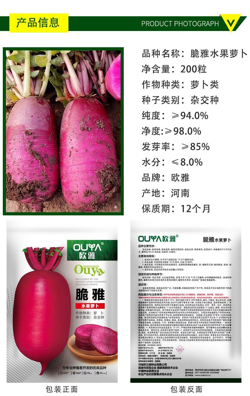 紫皮紫肉水果萝卜种子凤梨萝卜紫美人红萝卜四季