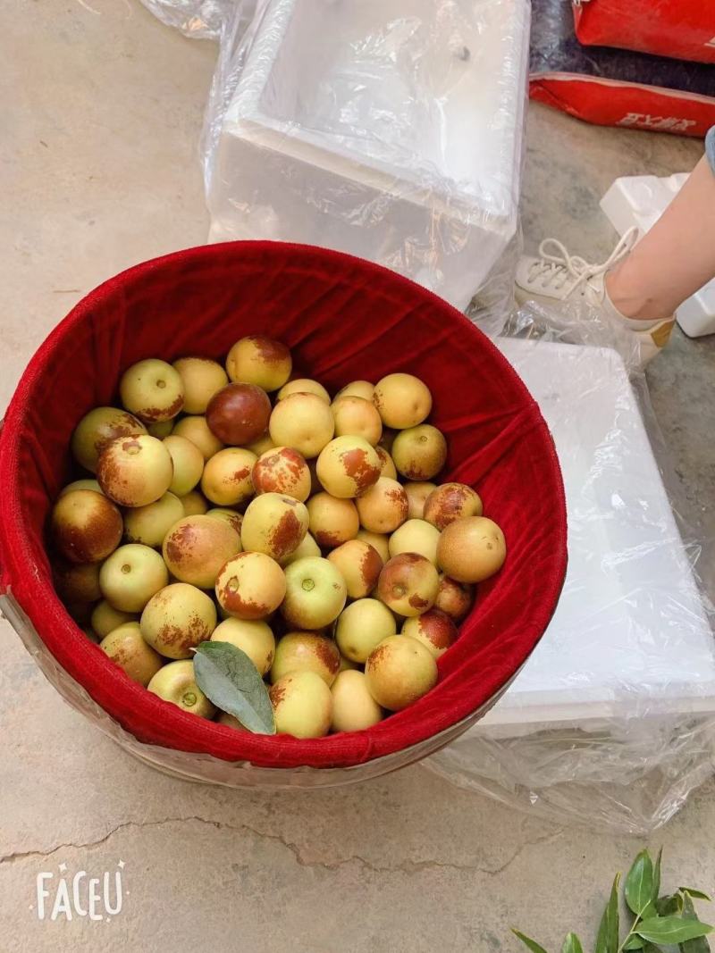 大荔冬枣大量上市，各种价位都有，各种规格任你挑选