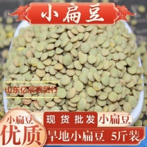 新货小扁豆精选绿扁豆小豌豆甘肃小扁豆兵豆现货批发