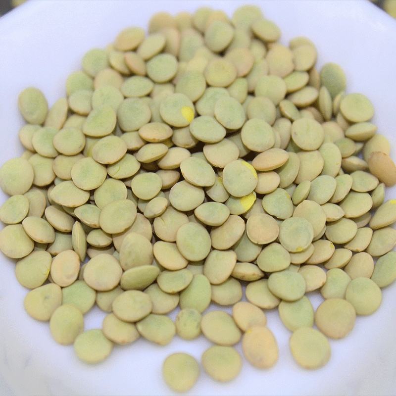 新货小扁豆精选绿扁豆小豌豆甘肃小扁豆兵豆现货批发