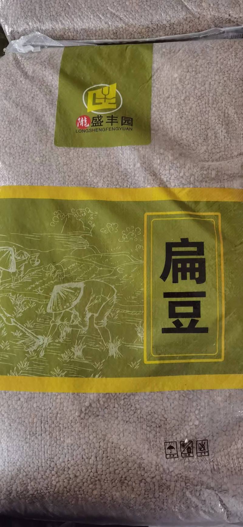 新货小扁豆精选绿扁豆小豌豆甘肃小扁豆兵豆现货批发