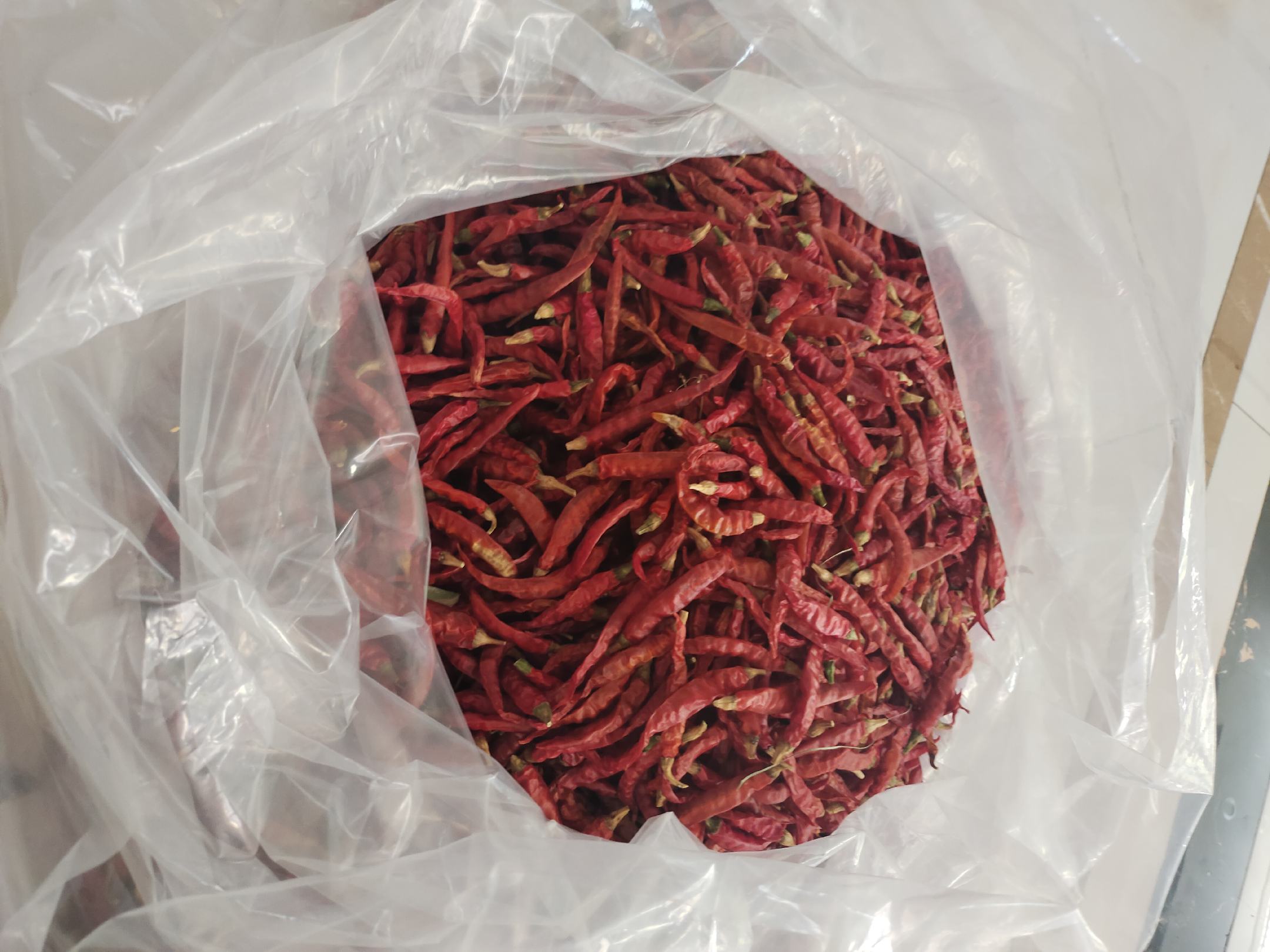 泡尖椒装瓶后密封保存于阴凉处,瓶身清晰可见泡菜水覆盖辣椒 泡尖椒玻璃瓶保存图