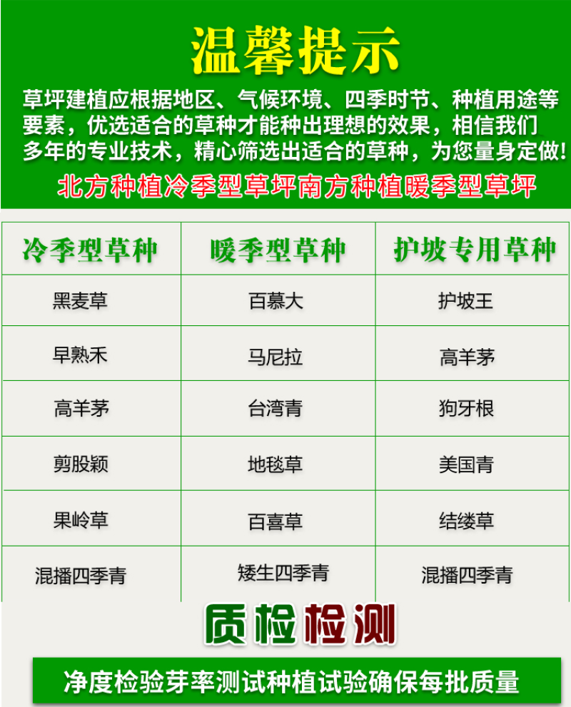 草坪草籽种子四季常青免修剪护坡固土马尼拉地毯草皮种籽绿化