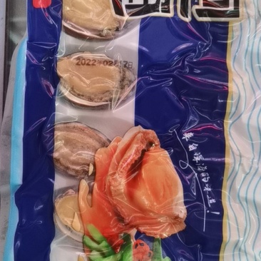 鲍鱼
