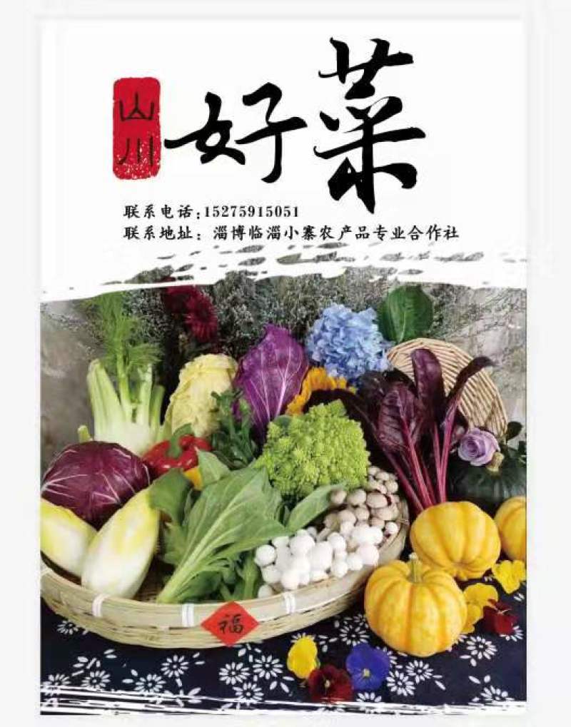 紫白菜，紫色白菜，富含花青素，口感好营养高，全国发货