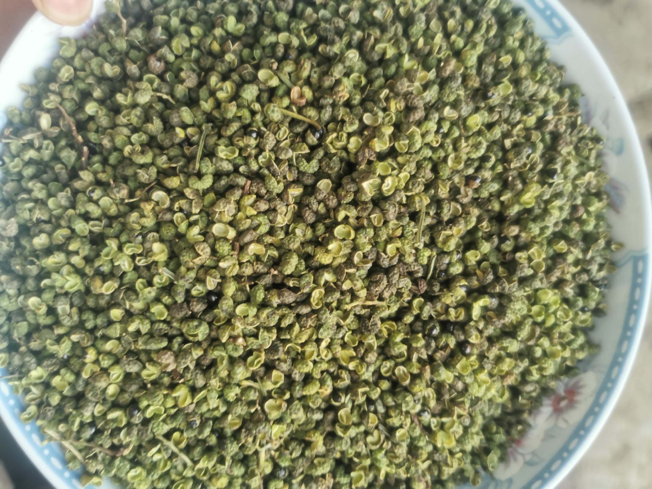 科学用花椒示范:电子秤精准称取1.5g干燥红花椒粉,用于凉拌菜或炖肉收汁前加入;避免高温久炒以保留热敏性山奈酚;青花椒宜低温冷油煸香,最大化释放柠檬烯 家庭厨房场景:玻璃调料罐中盛放红花椒与青花椒,旁边摆放电子秤(显示1.5g读数)、研钵与一小碟刚焯水的菠菜,体现“定量入膳”健康用法