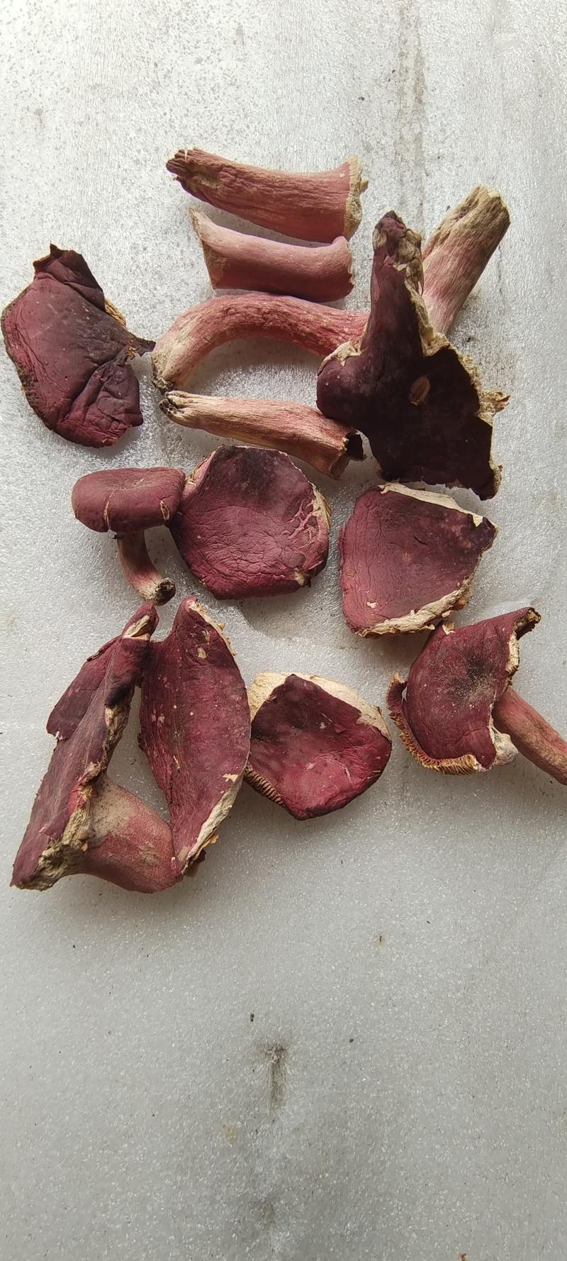 方城野生红菇碎片，肉厚特甜的野生红菇碎破片特价包邮