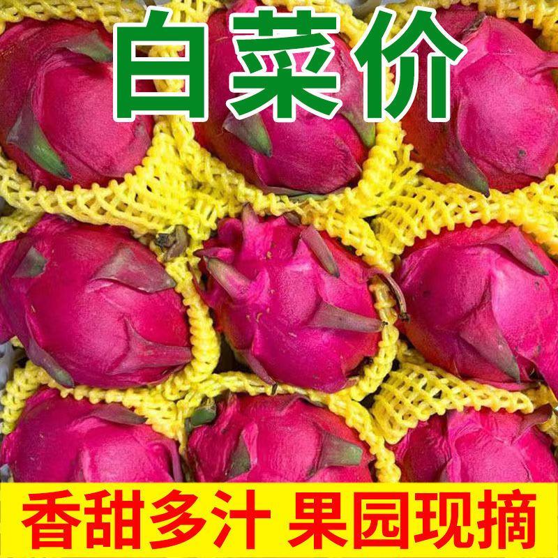 红心火龙果大量上市中，产地销售，味道甜美，一条龙服务
