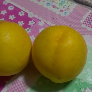 黄油