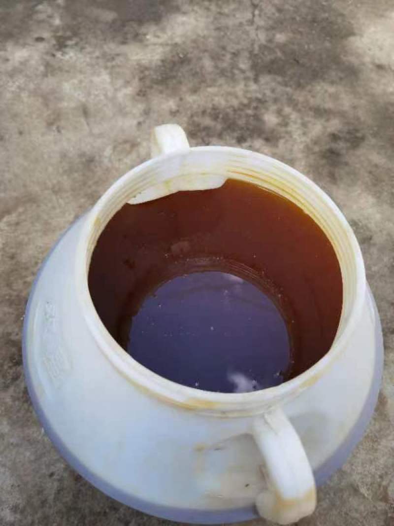 云南高山纯野生岩蜂蜜，生长在岩石上的蜂蜜，云南特产