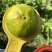 次果花果20元一筐