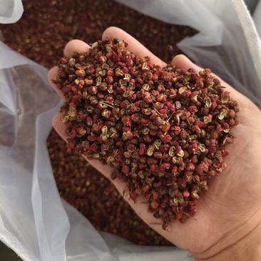 【2024年新货】韩城大红袍花椒，香麻干净，产地直发。