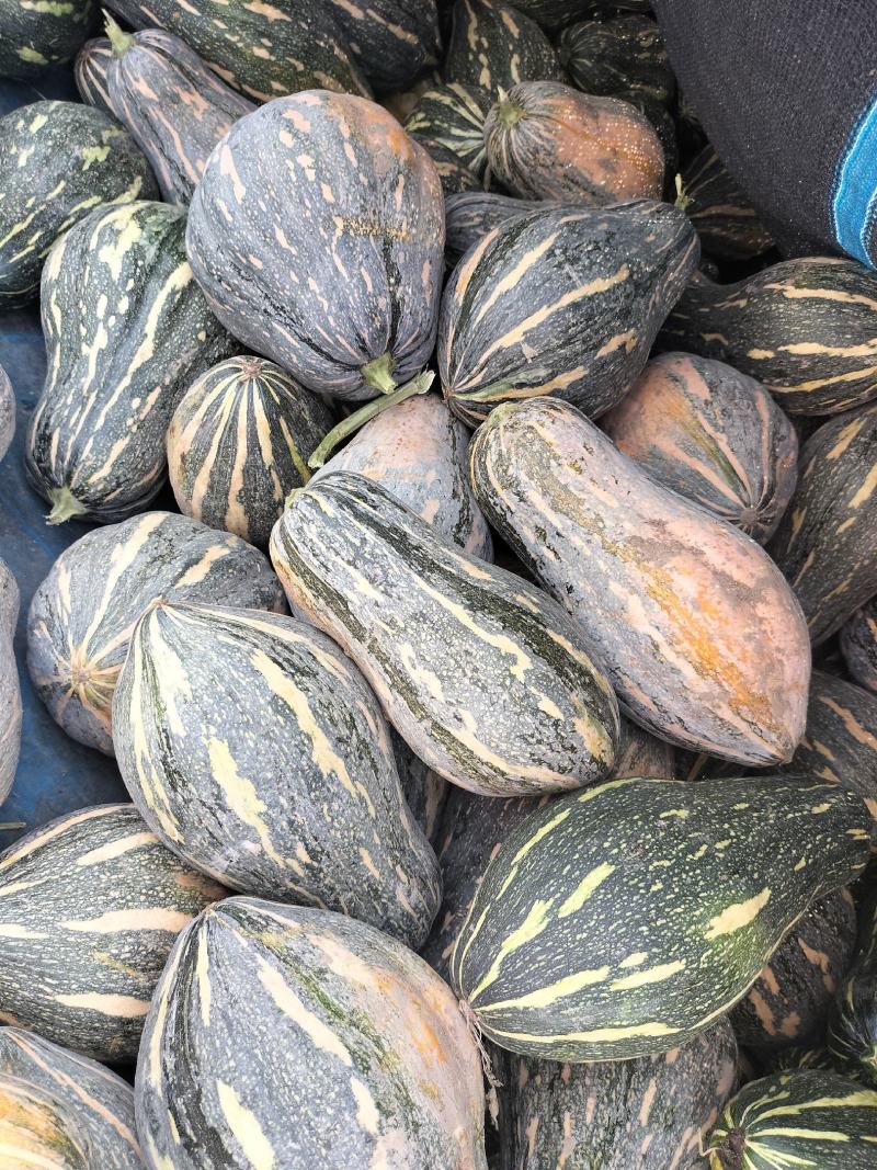 香芋南瓜大量上市中，需要下单