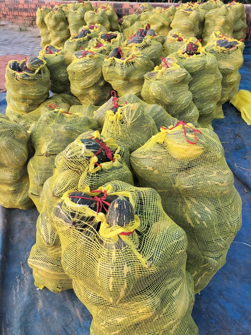 香芋南瓜大量上市中，需要下单