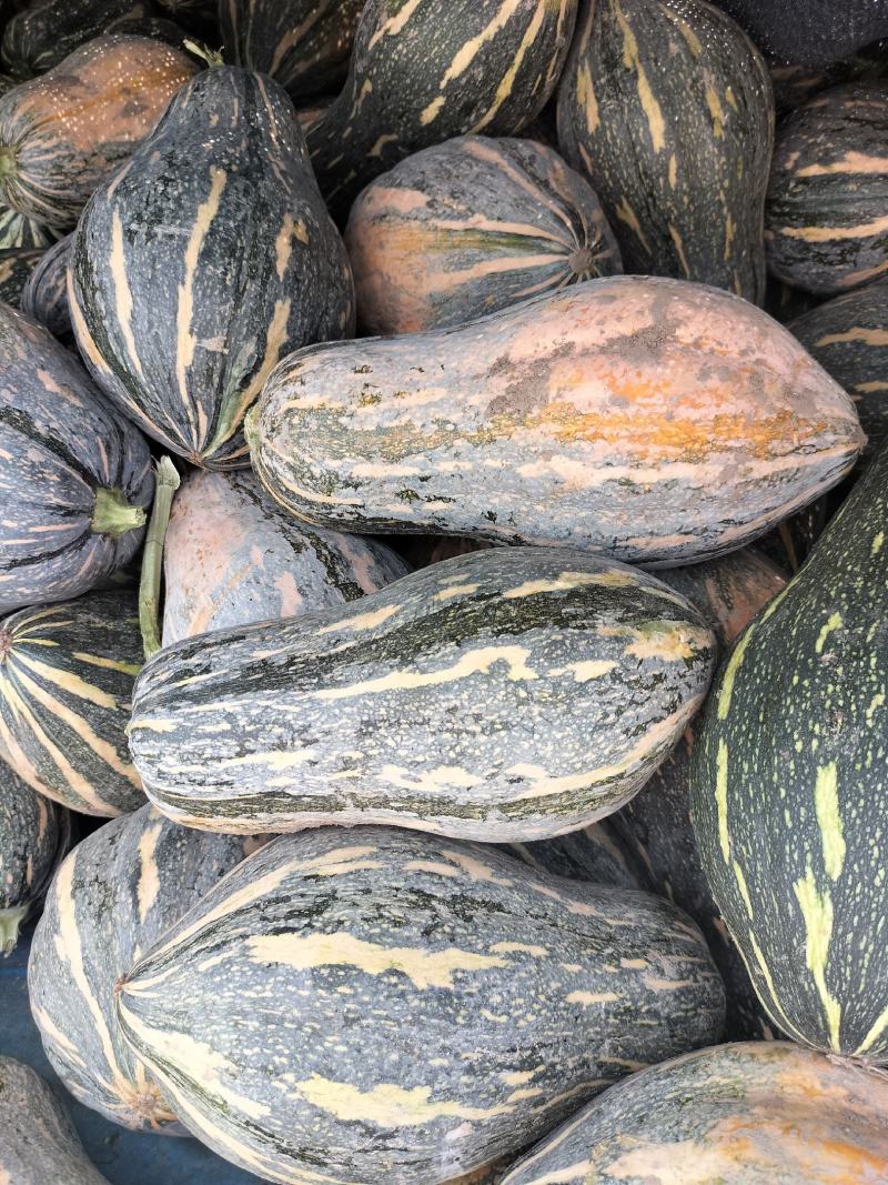香芋南瓜大量上市中，需要下单