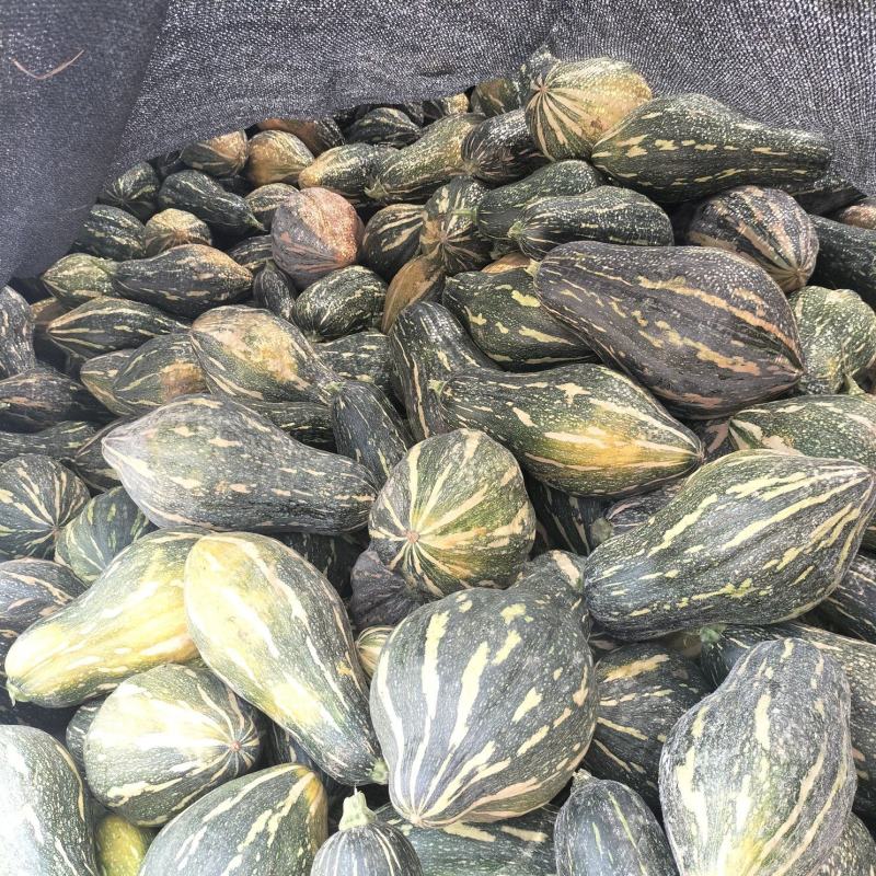 香芋南瓜大量上市中，需要下单