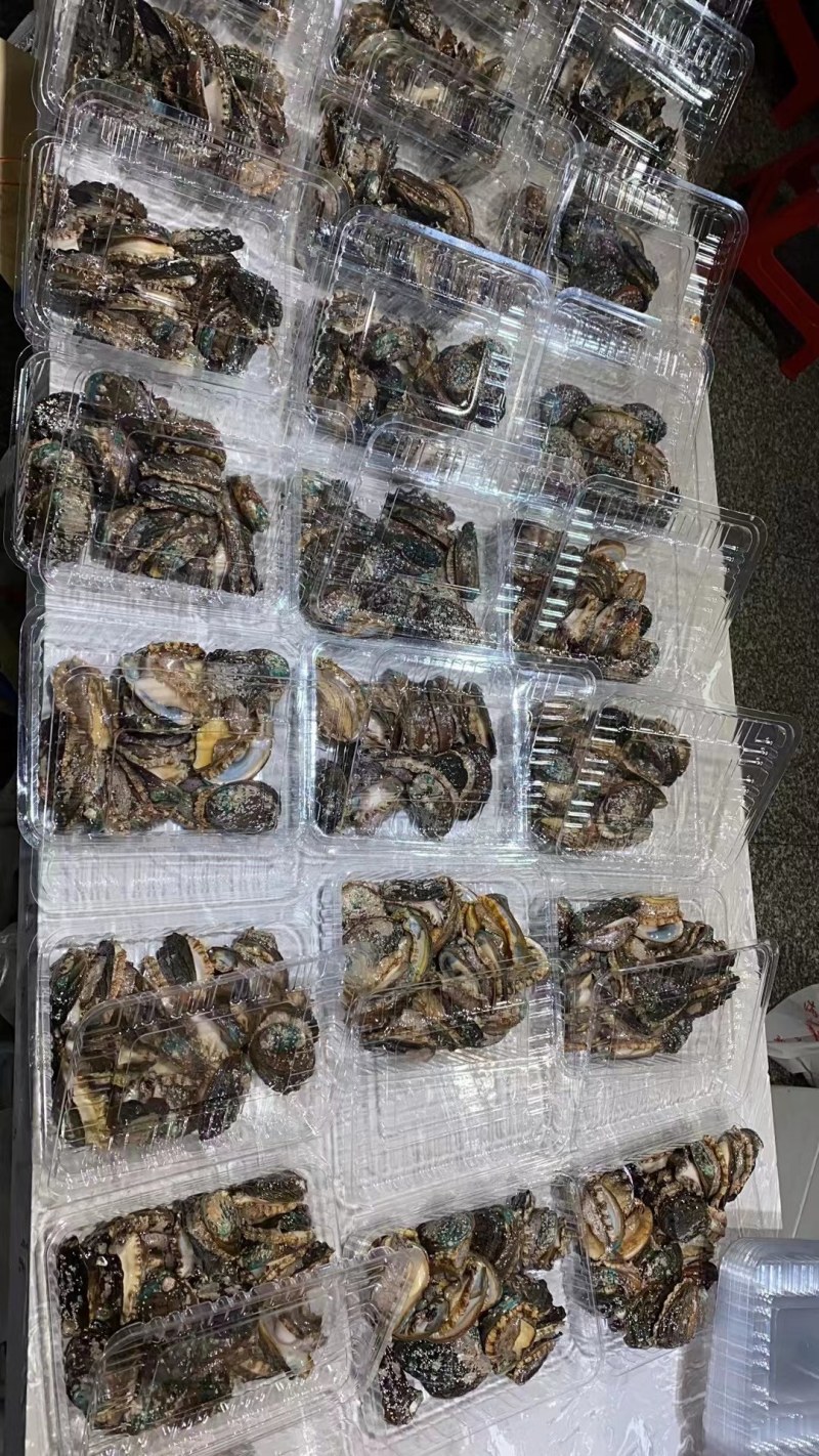 鲍鱼