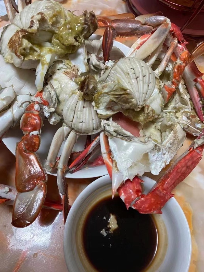 梭子蟹