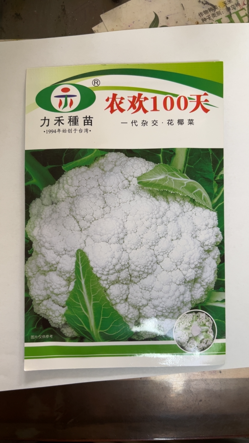优质高产青梗松花菜种，梗青花白耐运输，小米粒
