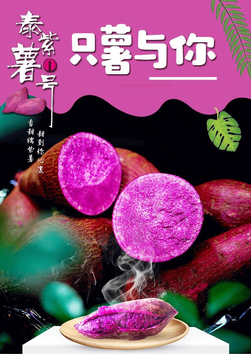 【紫薯】大小规格机器分拣，电商团购社区团购供货，一手货源