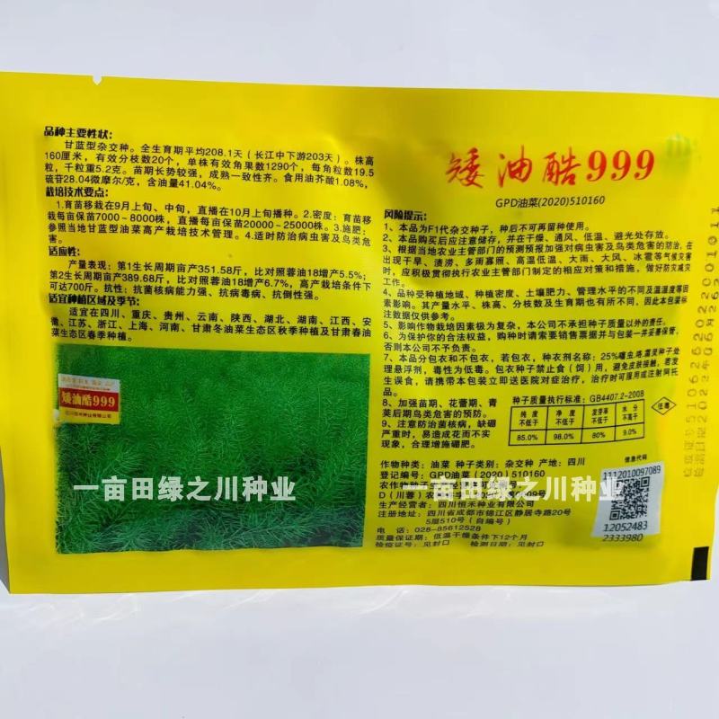油菜专业运营商四川油菜种子矮油酷999油菜籽种子矮杆