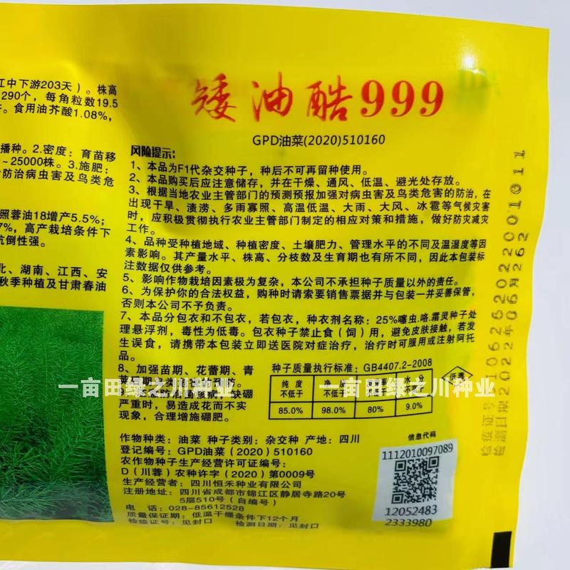 油菜专业运营商四川油菜种子矮油酷999油菜籽种子矮杆