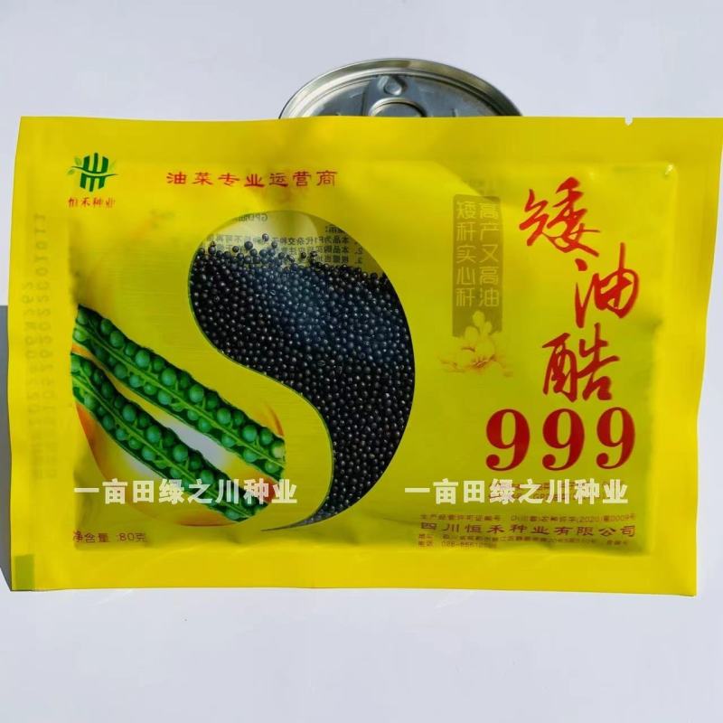 油菜专业运营商四川油菜种子矮油酷999油菜籽种子矮杆