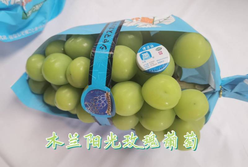 成都自产自销专营阳光玫瑰葡萄四万多斤待售