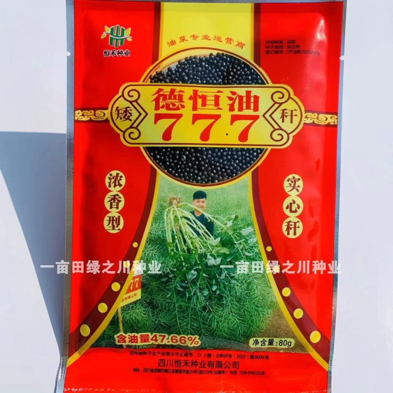 德恒油777油菜种子实心杆高产高油矮杆抗倒油菜籽种子
