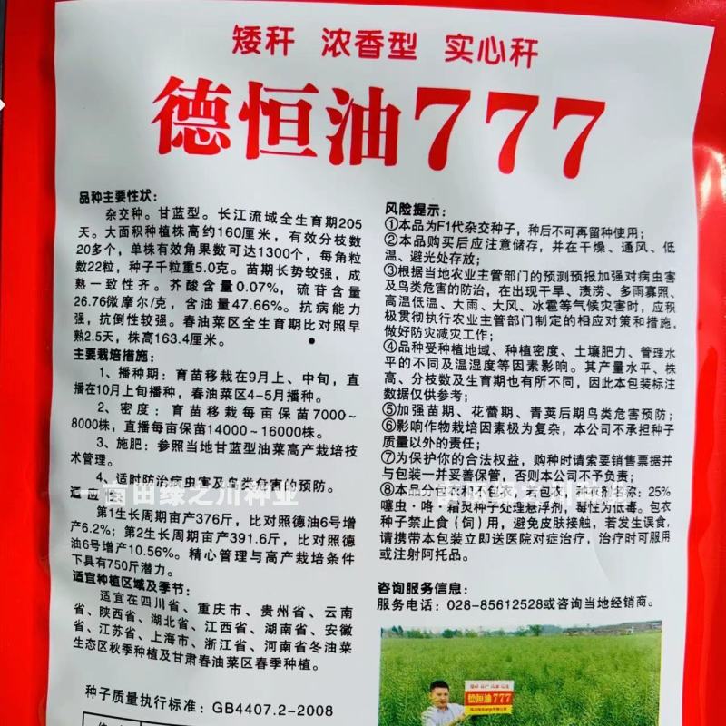 德恒油777油菜种子实心杆高产高油矮杆抗倒油菜籽种子