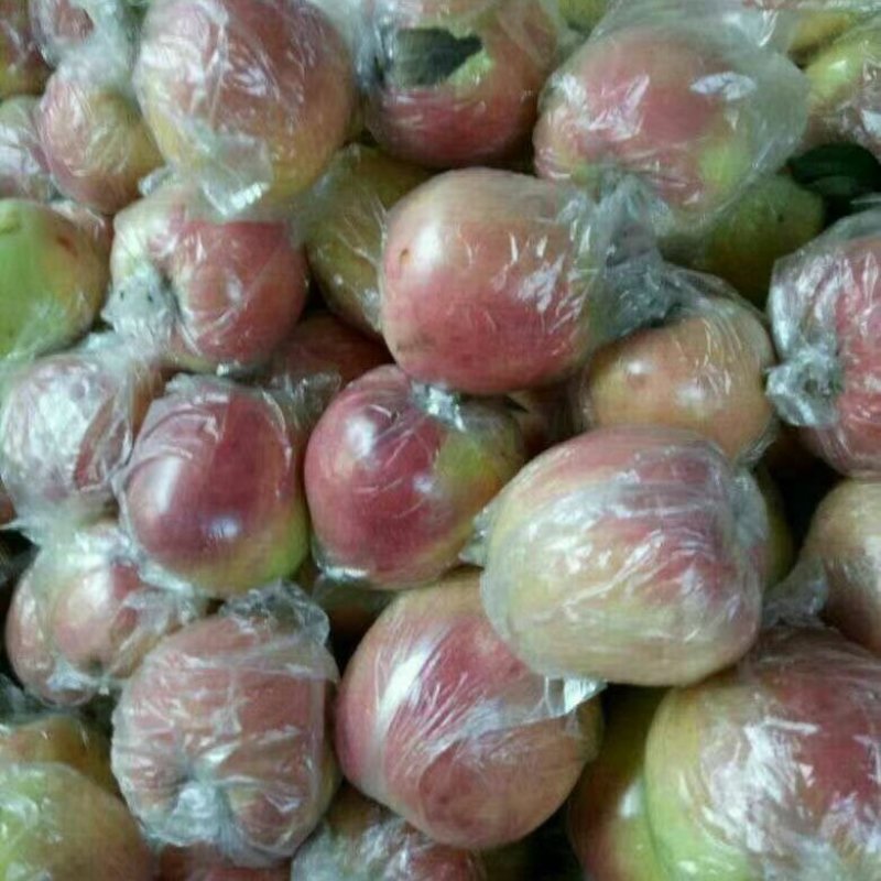 红露苹果*口感甜脆*品类规格齐全