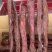 里脊大块肉，麻辣五香两个味，一件70斤，地摊展会热卖一手
