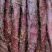 里脊大块肉，麻辣五香两个味，一件70斤，地摊展会热卖一手