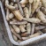 莲藕新鲜藕粉藕粉加工藕粉边角料，适合加工厂合作