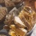 铁箱蜂巢蜜，黑色蜂糖、黄色蜂糖、结晶蜂糖、岩石蜂糖