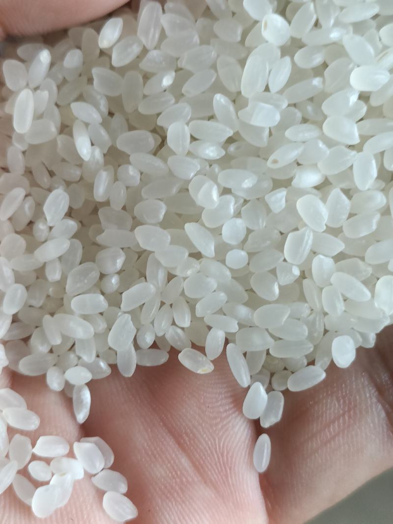 陈粮珍珠米