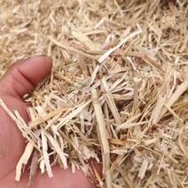 麦秸草牛草小麦秸秆除尘揉丝